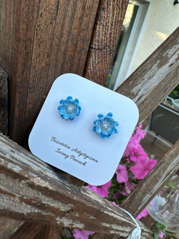 Blue earrings